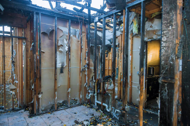Professional Fire Damage Repair technician working in Lakeland, MN