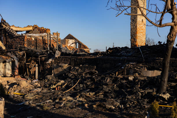 Reliable Fire Damage Repair contractor in Lakeland, MN by Fire Damage Doption